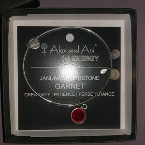 Garnet January birthstone alex&ani bangle